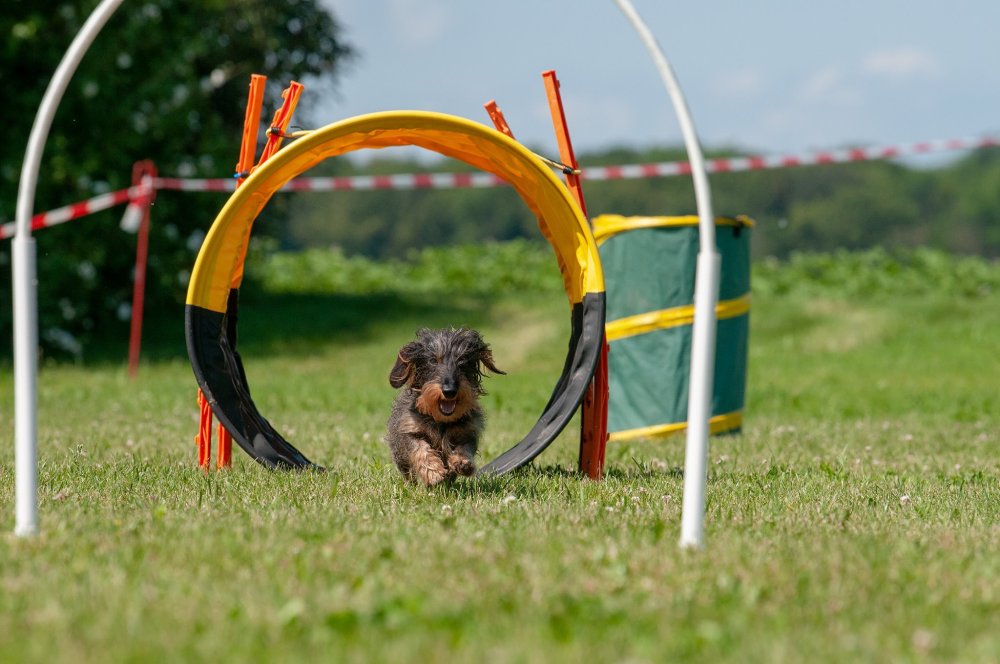 34365399_10217299480825520_1562654675906330624_o