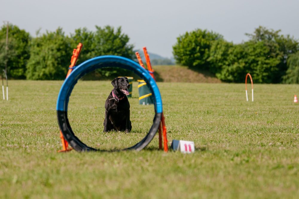 34503504_10217299541867046_4212867145006055424_o