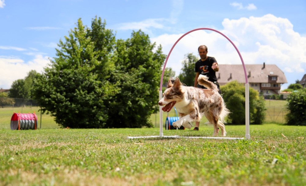 Yti1QMk%TlKDcvFksWQ+9Q_thumb_18